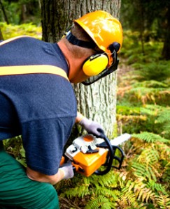 Man Operating Chainsaw with Hearing Protection